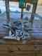 Fishing Magician Charters