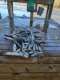 Fishing Magician Charters