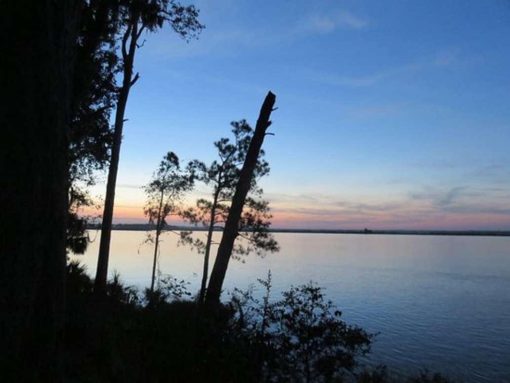 Fort McAllister State Park