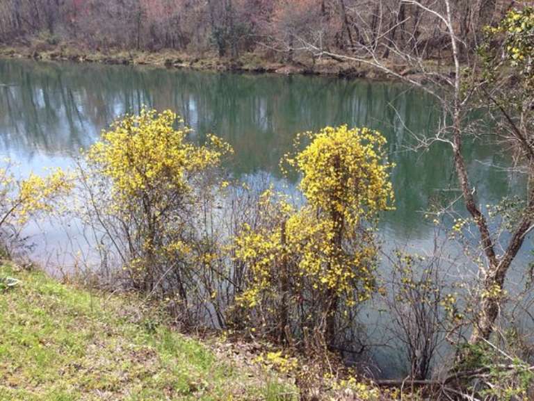 Savannah Rapids Park