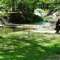 Meeks Park