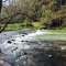 Elsie Holmes Nature Park
