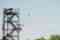 Historic Banning Mills Zip Line Canopy Tours