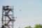 Historic Banning Mills Zip Line Canopy Tours