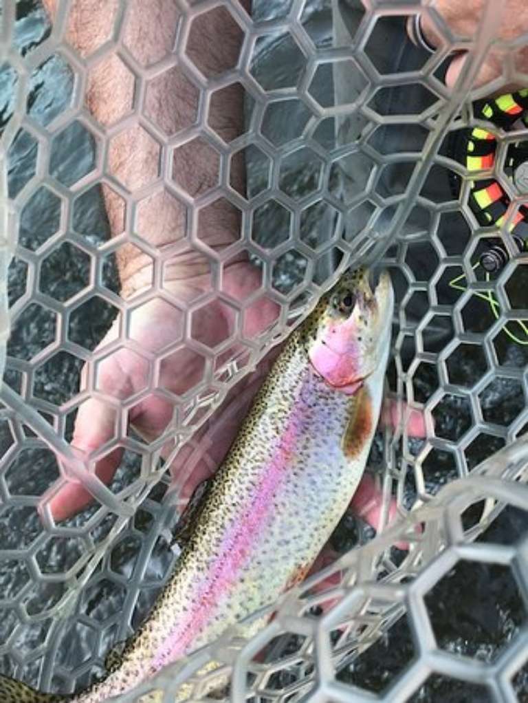 Lake Blue Ridge Outfitters