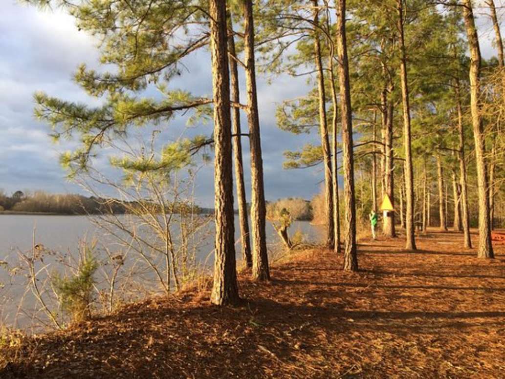 Florence Marina State Park
