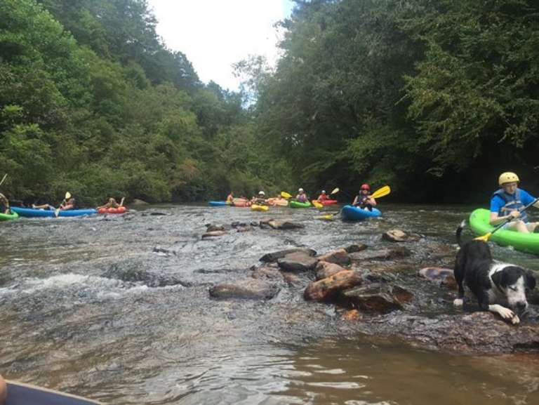 Cartecay River Experience