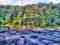 Sweetwater Creek State Park
