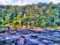Sweetwater Creek State Park