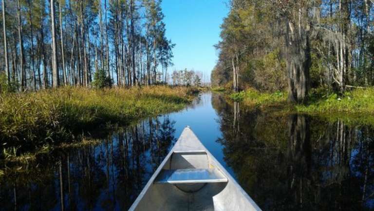 Stephen C. Foster State Park
