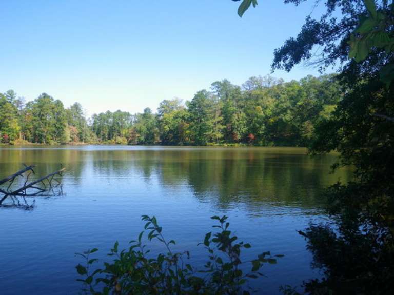 Hard Labor Creek State Park