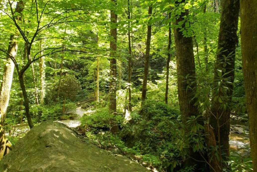 Unicoi State Park