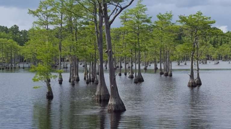 George L. Smith Park