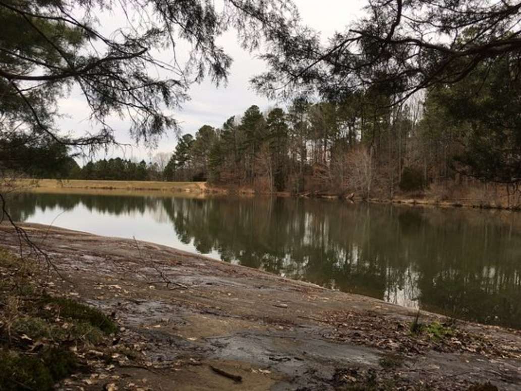 Tribble Mill Park