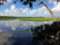 Savannah Coastal Ecotours
