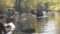 Backwater Expeditions