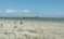 Savannah River Beach
