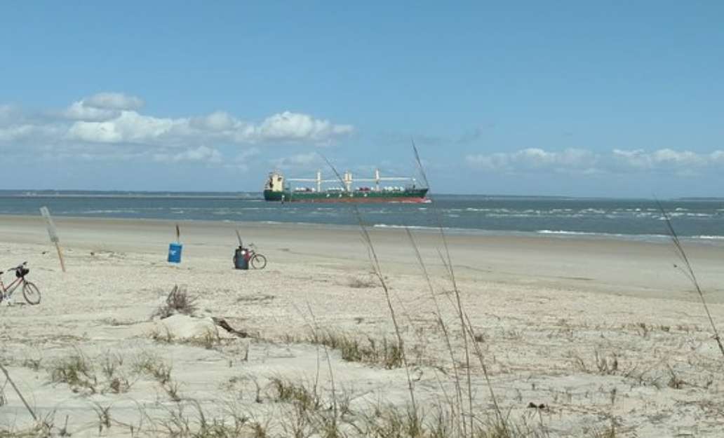 Savannah River Beach