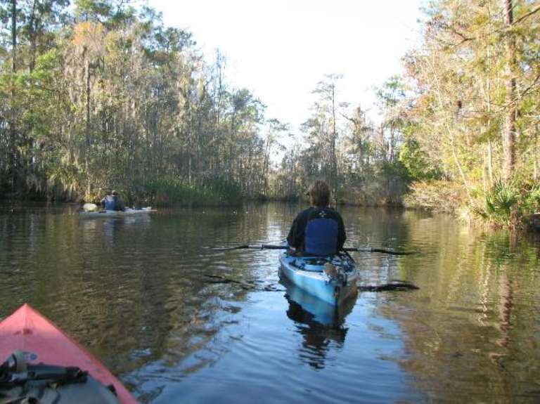 Altamaha Coastal Tours