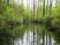 Okefenokee Swamp Park