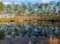 Okefenokee National Wildlife Refuge