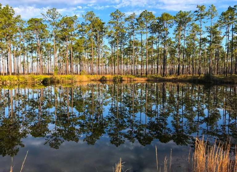 Okefenokee National Wildlife Refuge