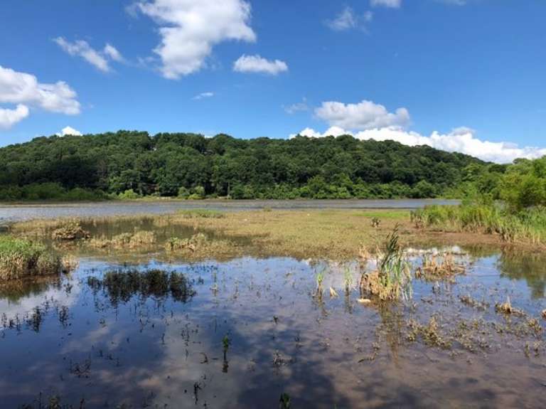 Chattahoochee River National Recreation Area