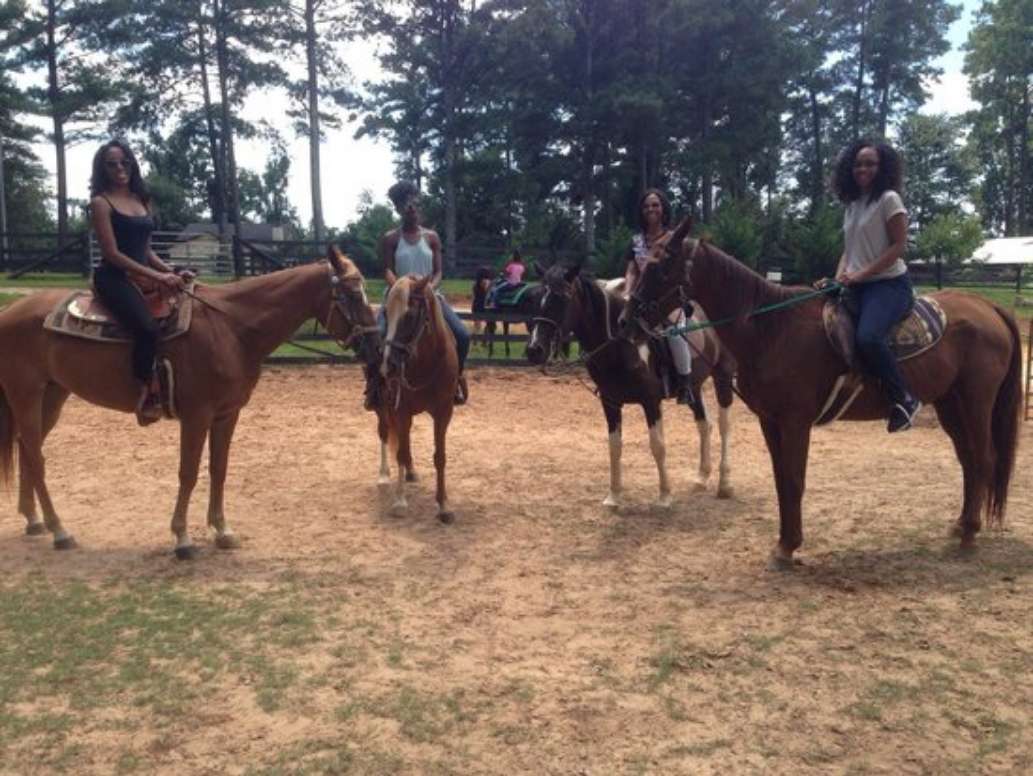Pure Horse Play
