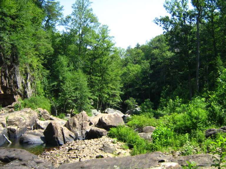 Lula Lake & Land Trust