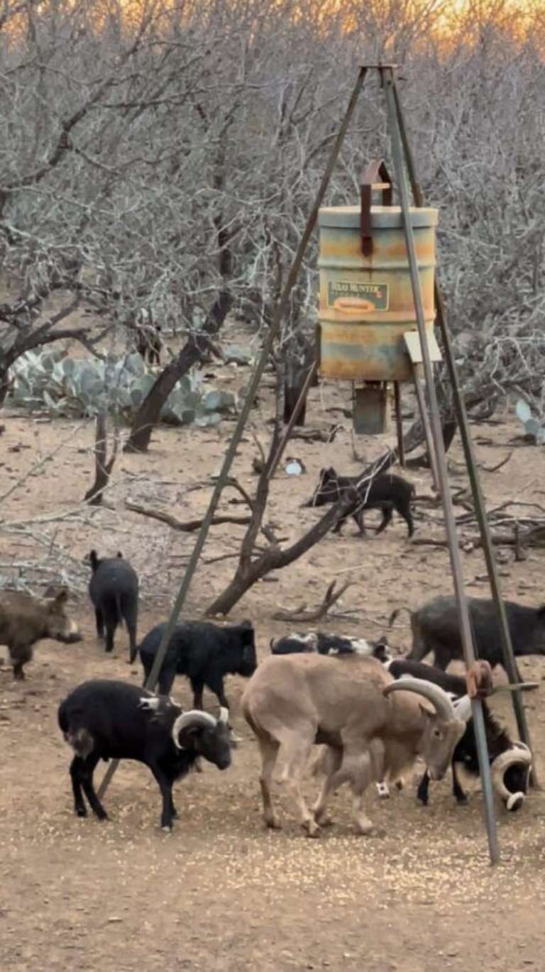 Cactus Creek Bowhunting