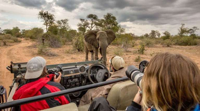 Kenya Tanzania Safari