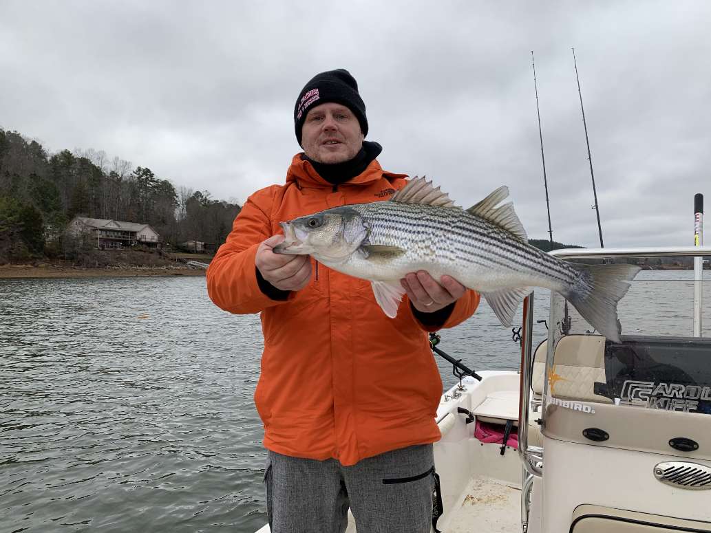 Big Stripers!