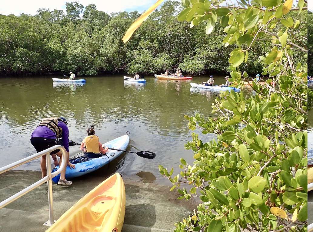A Fort Myers Kayak Ecotour