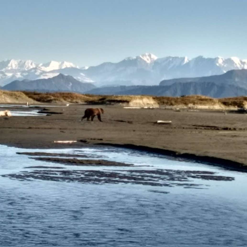 Silver Salmon with Alaskan Wilderness Outfitting Company