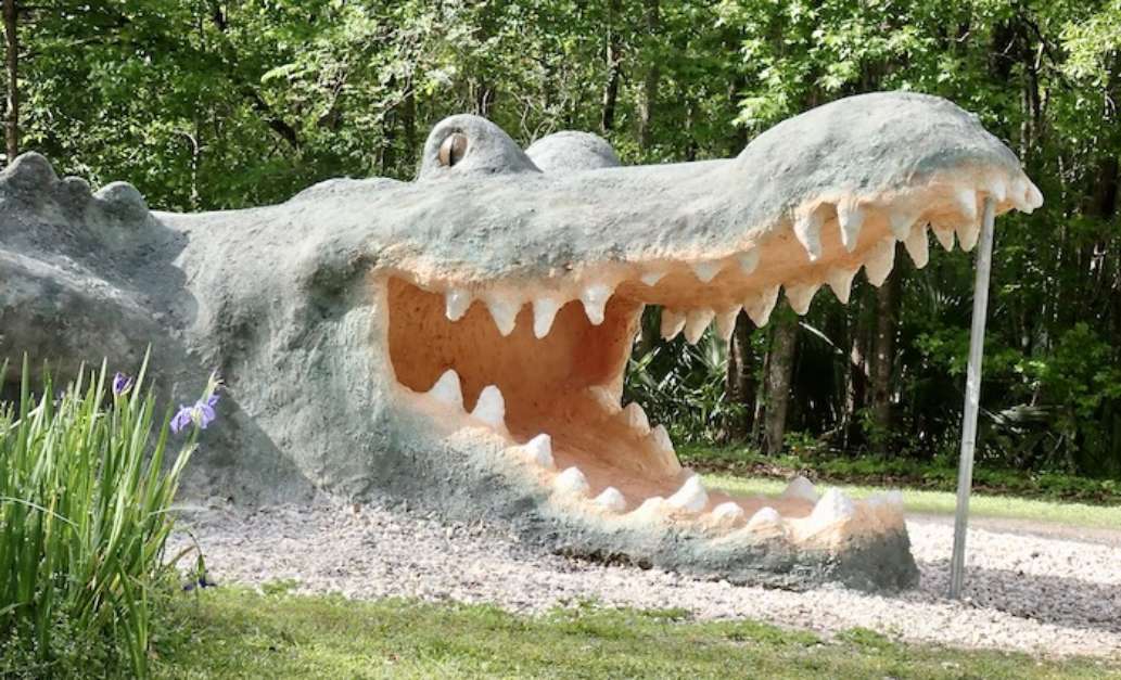 Palmetto Island State Park- A Review