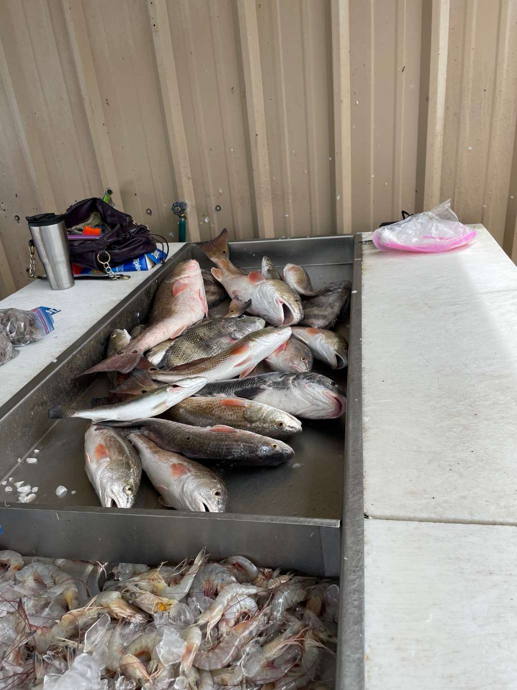 Incredible fishing and people