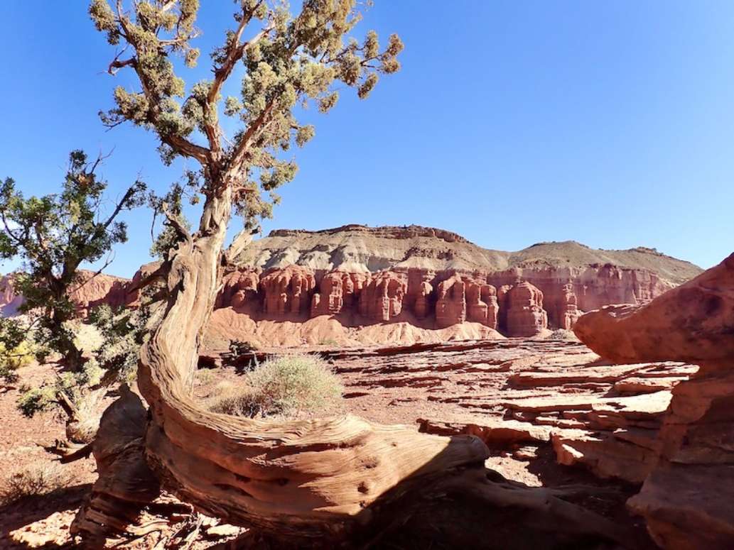 Capitol Reef National Park