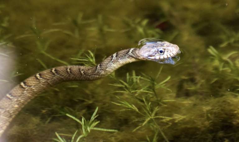 McKinney Falls State Park