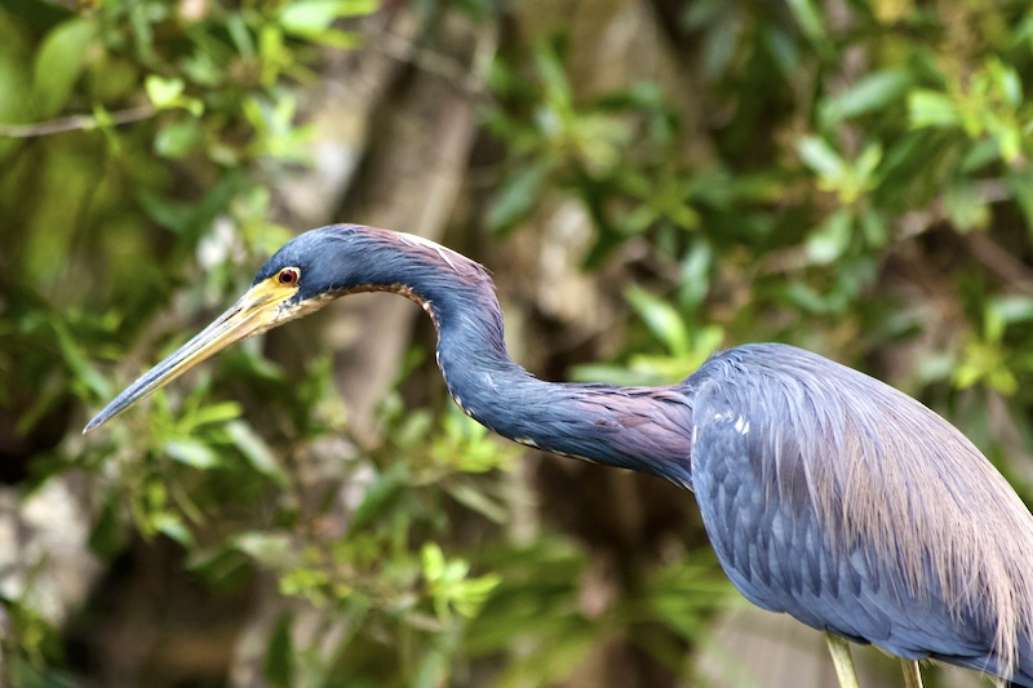 McKinney falls state park