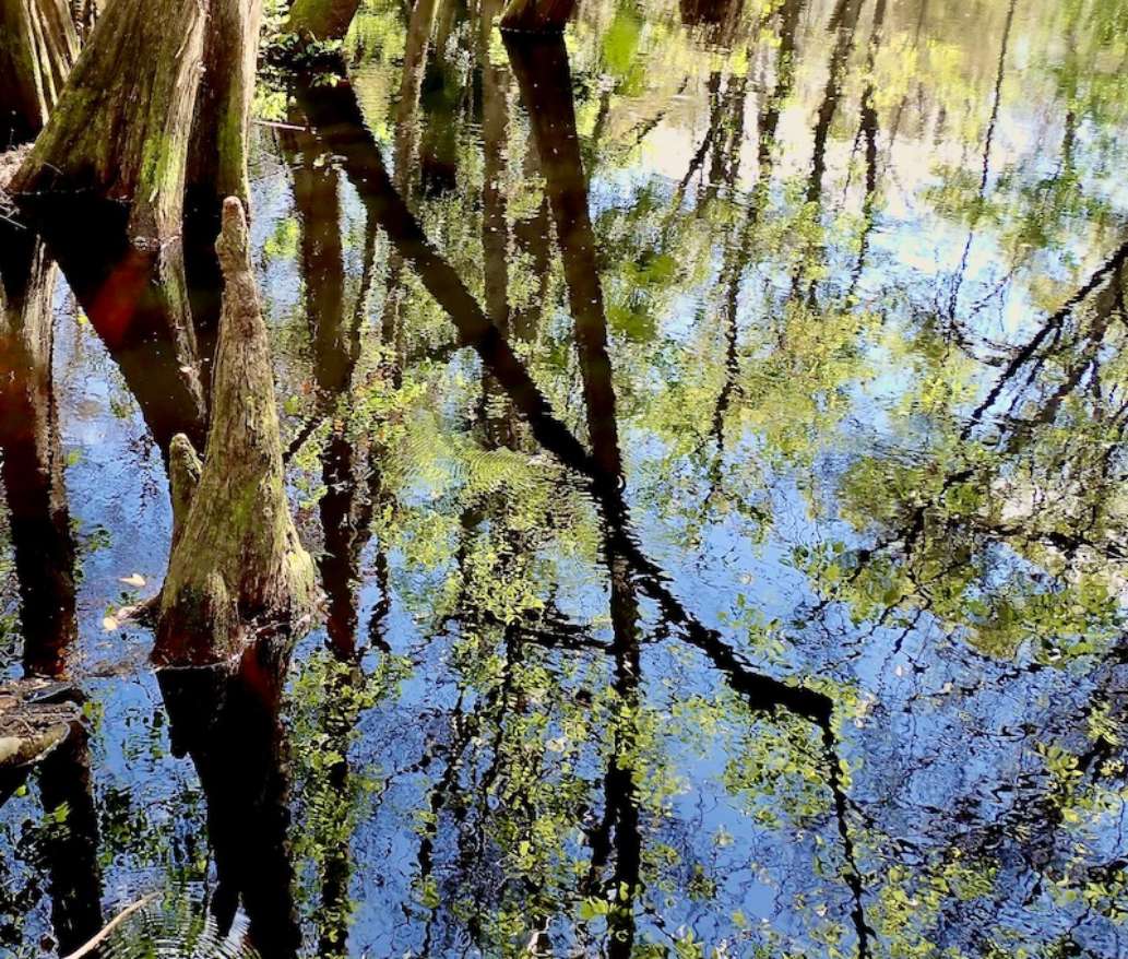 McKinney falls state park