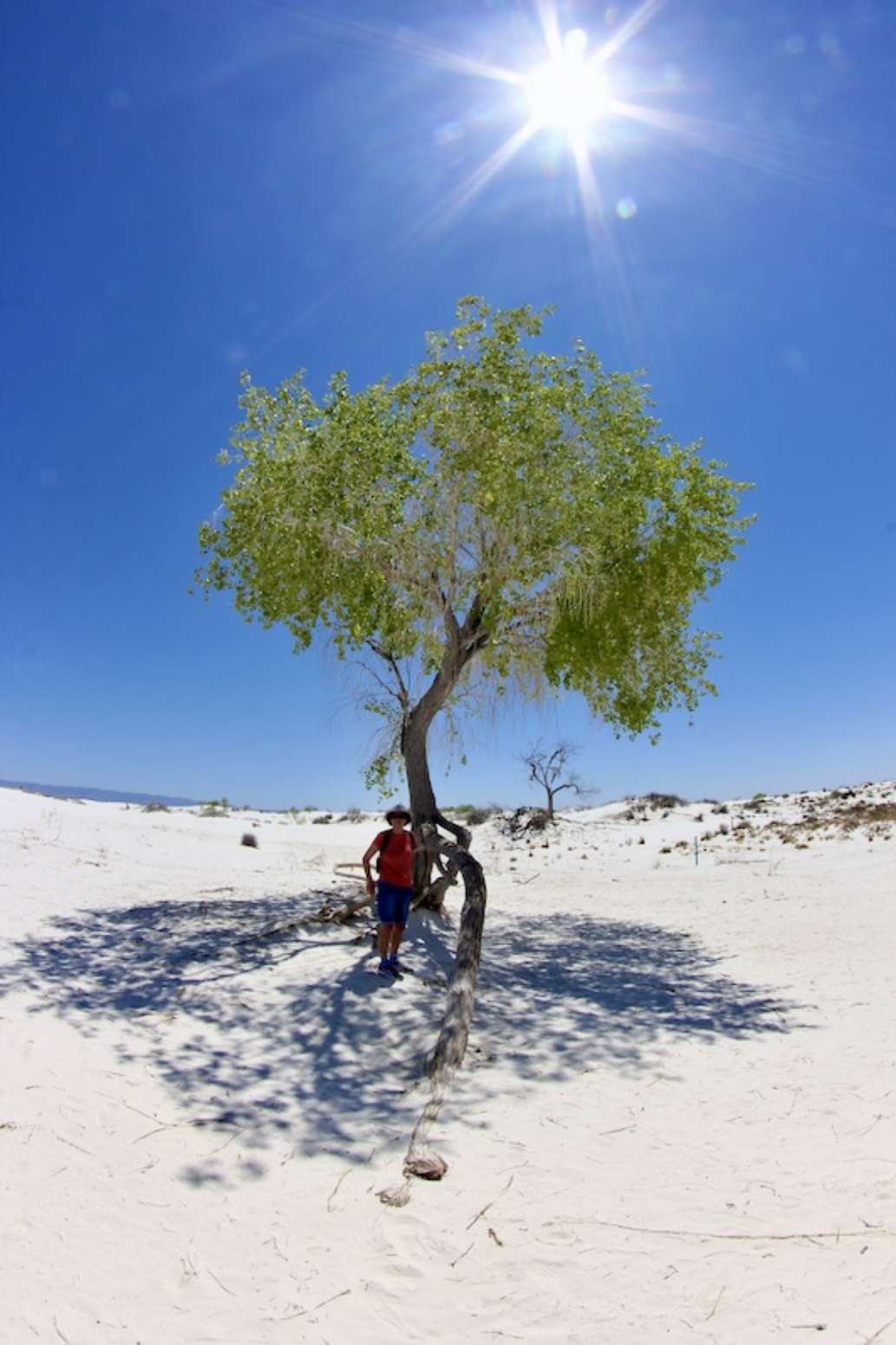 White Sands National Park