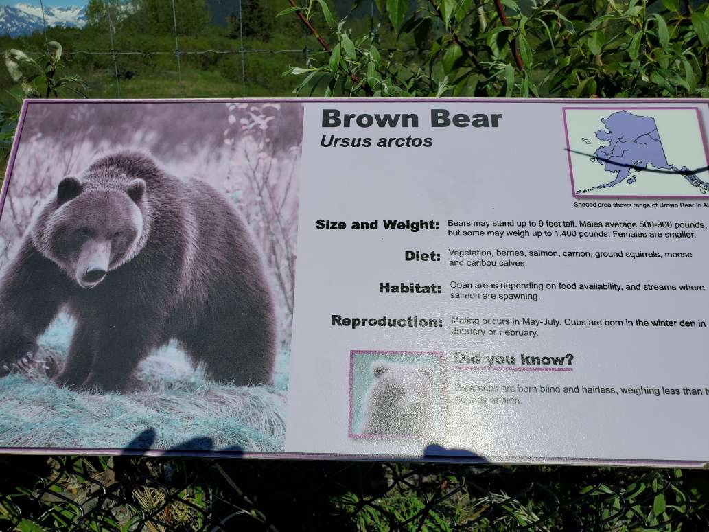 Alaska's First Stop for Wildlife