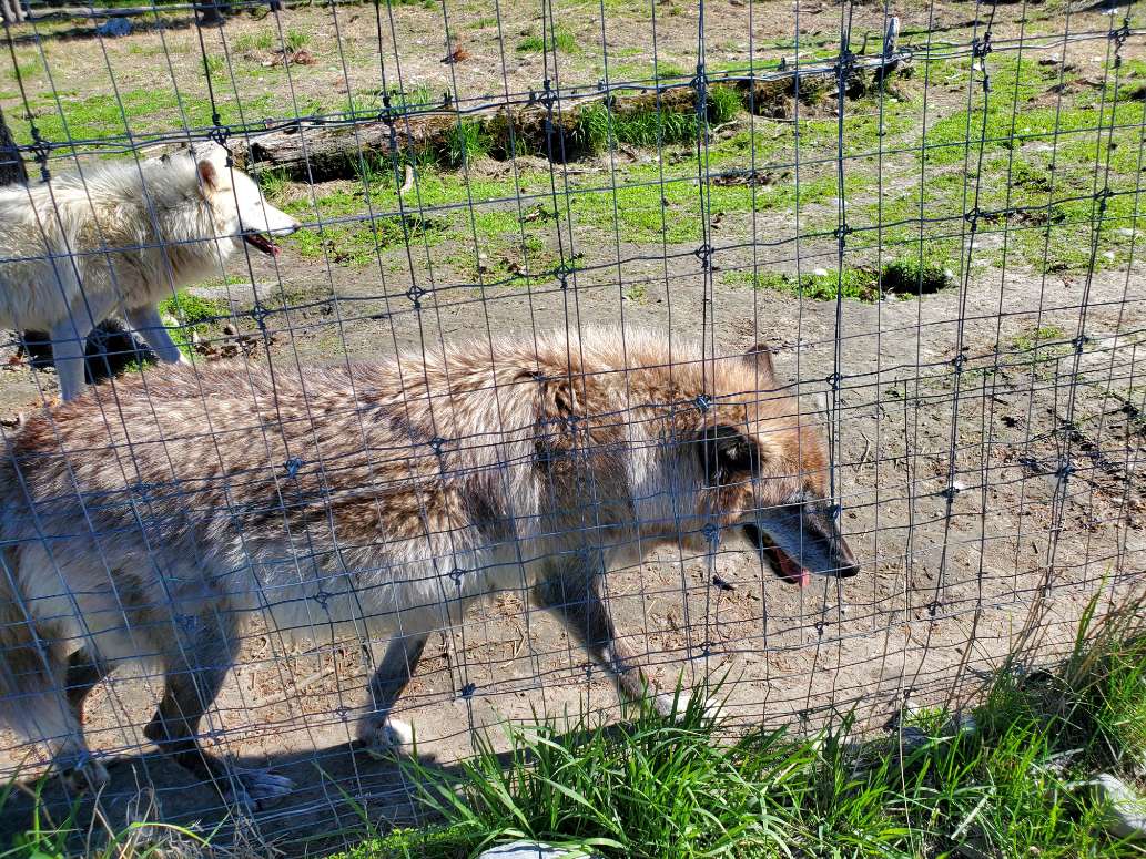Alaska's First Stop for Wildlife