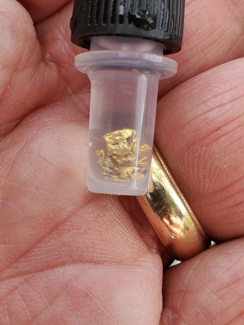 Pan for Real Gold and Have Fun in the Process