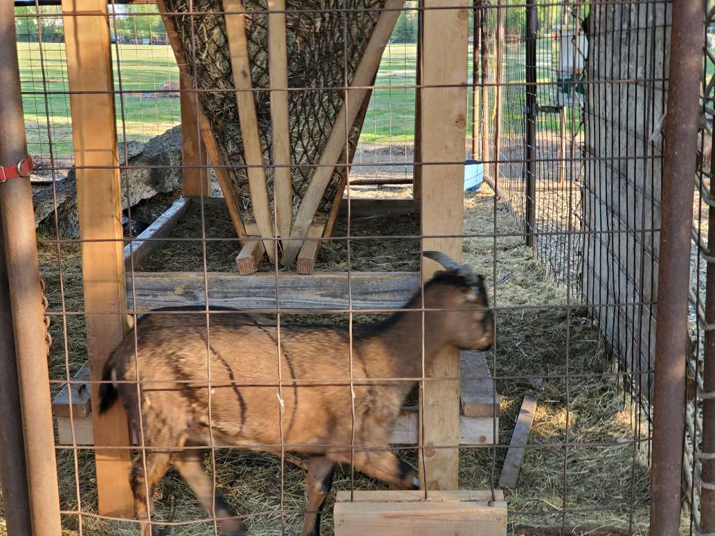 Great RV Park in the Center of the Kenai