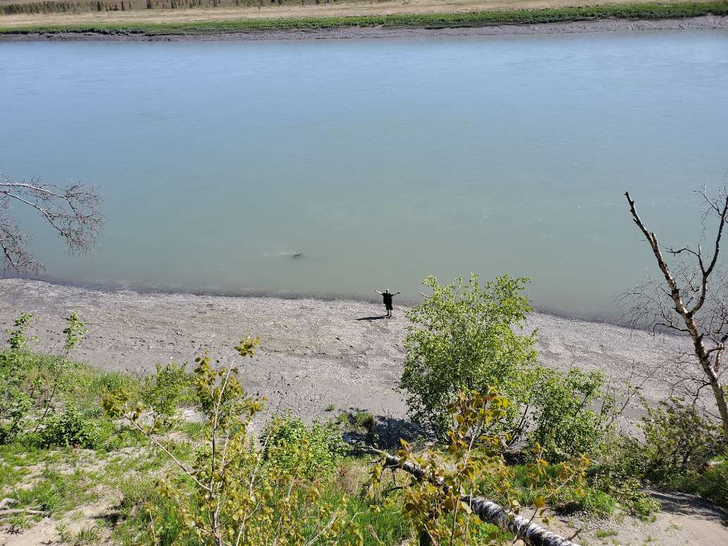 Great RV Park in the Center of the Kenai