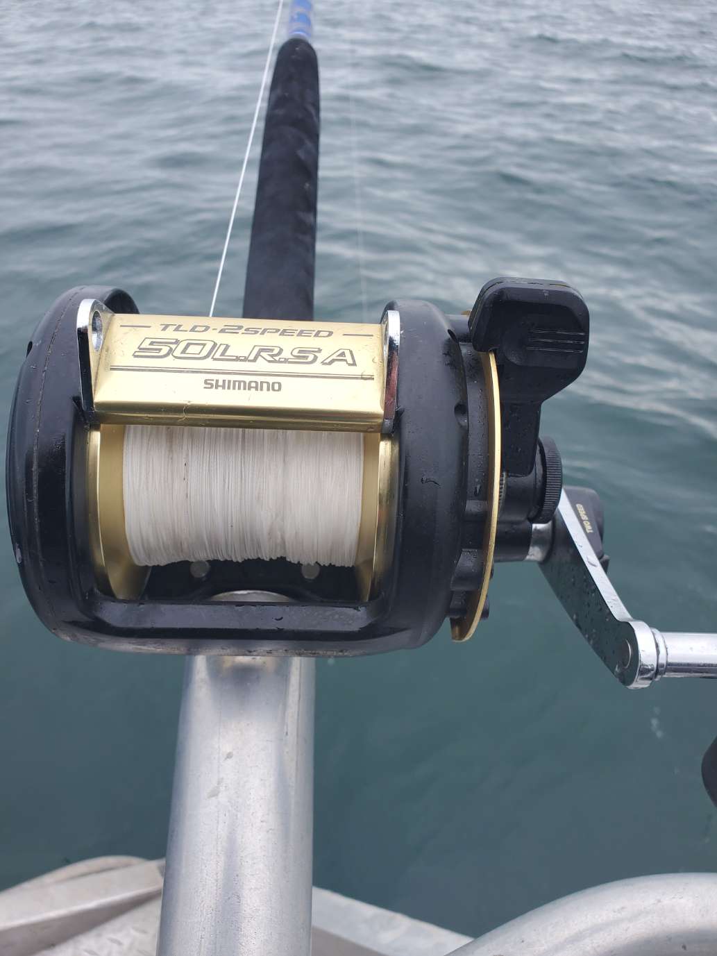 Halibut Adventure on the High Seas