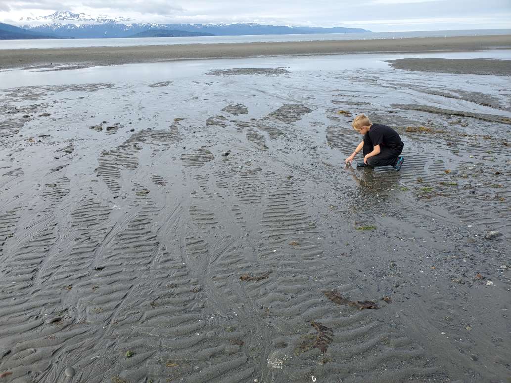 RV Camping by the Ocean