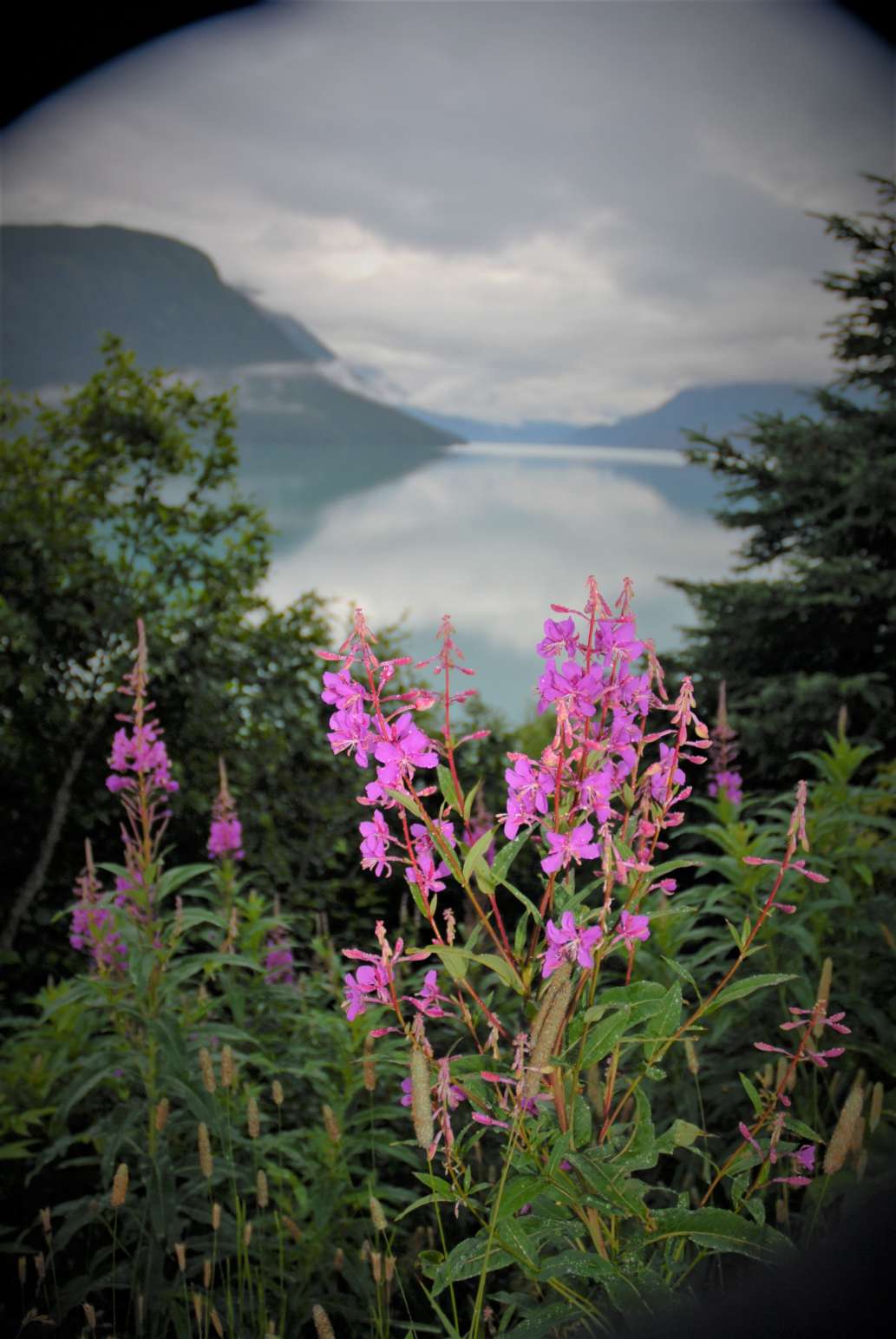 Our First RV Experience was Great Fun