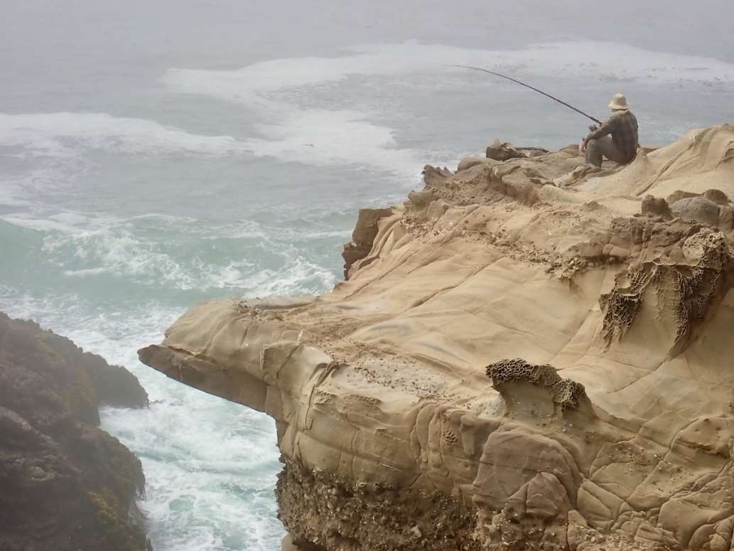 Salt Point State Park